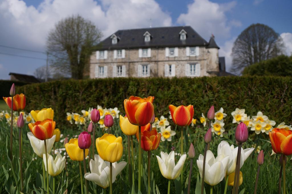 Chateau De Savennes - Caveau De Sabrage Eksteriør bilde